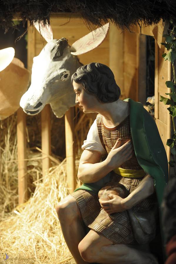 Nom de l'image : D30043047_1_(c)Norbert-JUNG — Description :